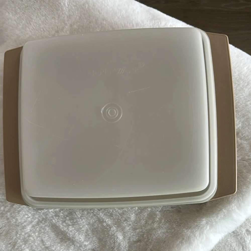 Tupperware White and Tan Container